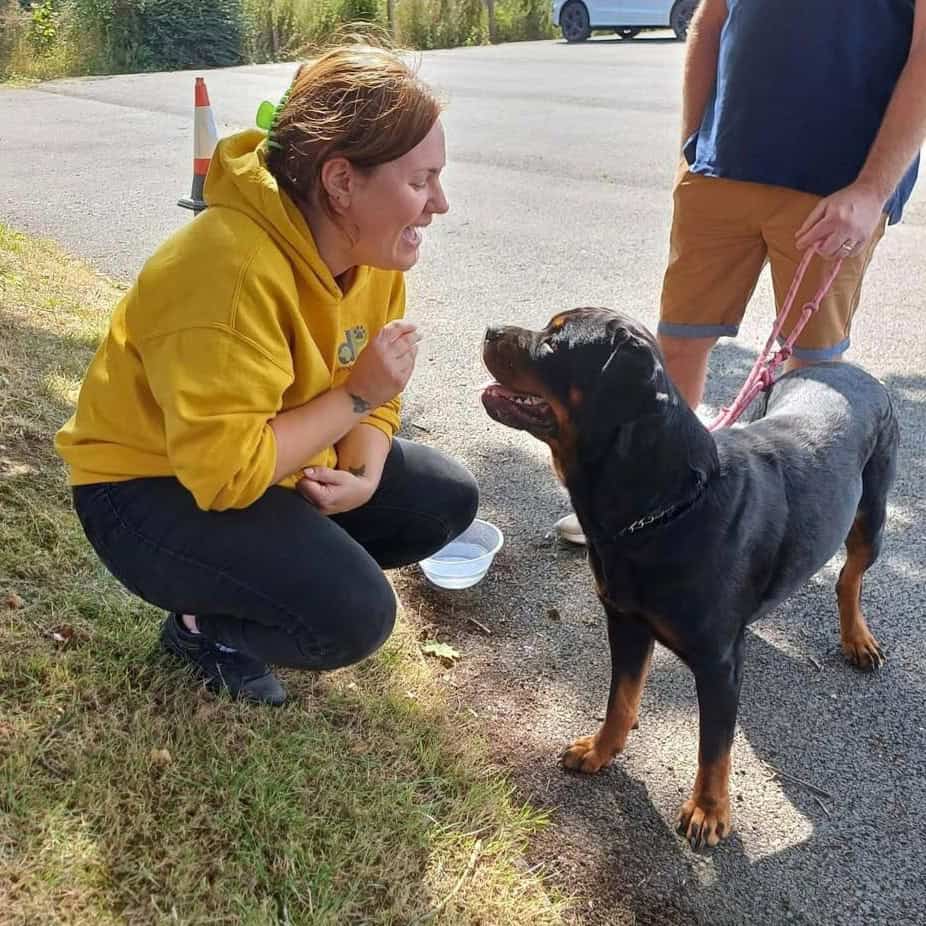 Dog trainer Laura from Dog's Purpose in Tamworth Dog trainer Laura from Dog's Purpose in Tamworth